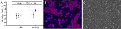 Hybrid Carbon Nanostructures for Direct Neuronal Interfacing